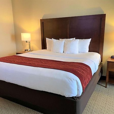 Comfort Inn&Suites Rogersville Extérieur photo