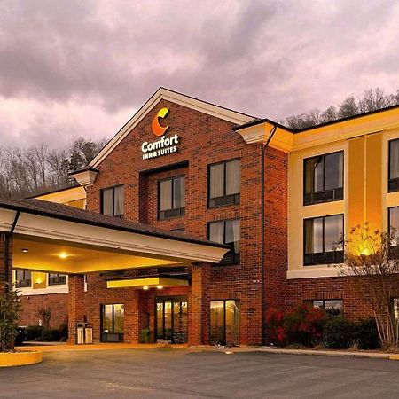 Comfort Inn&Suites Rogersville Extérieur photo