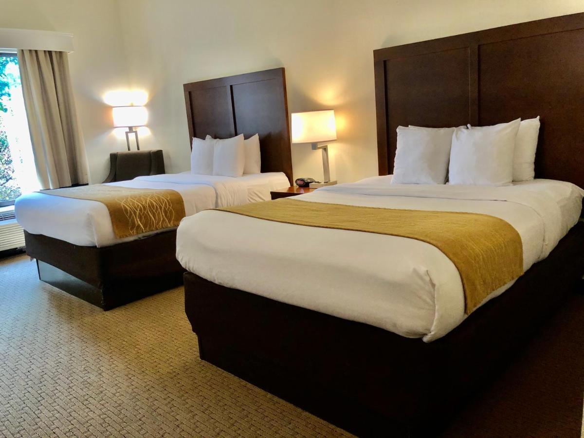 Comfort Inn&Suites Rogersville Extérieur photo