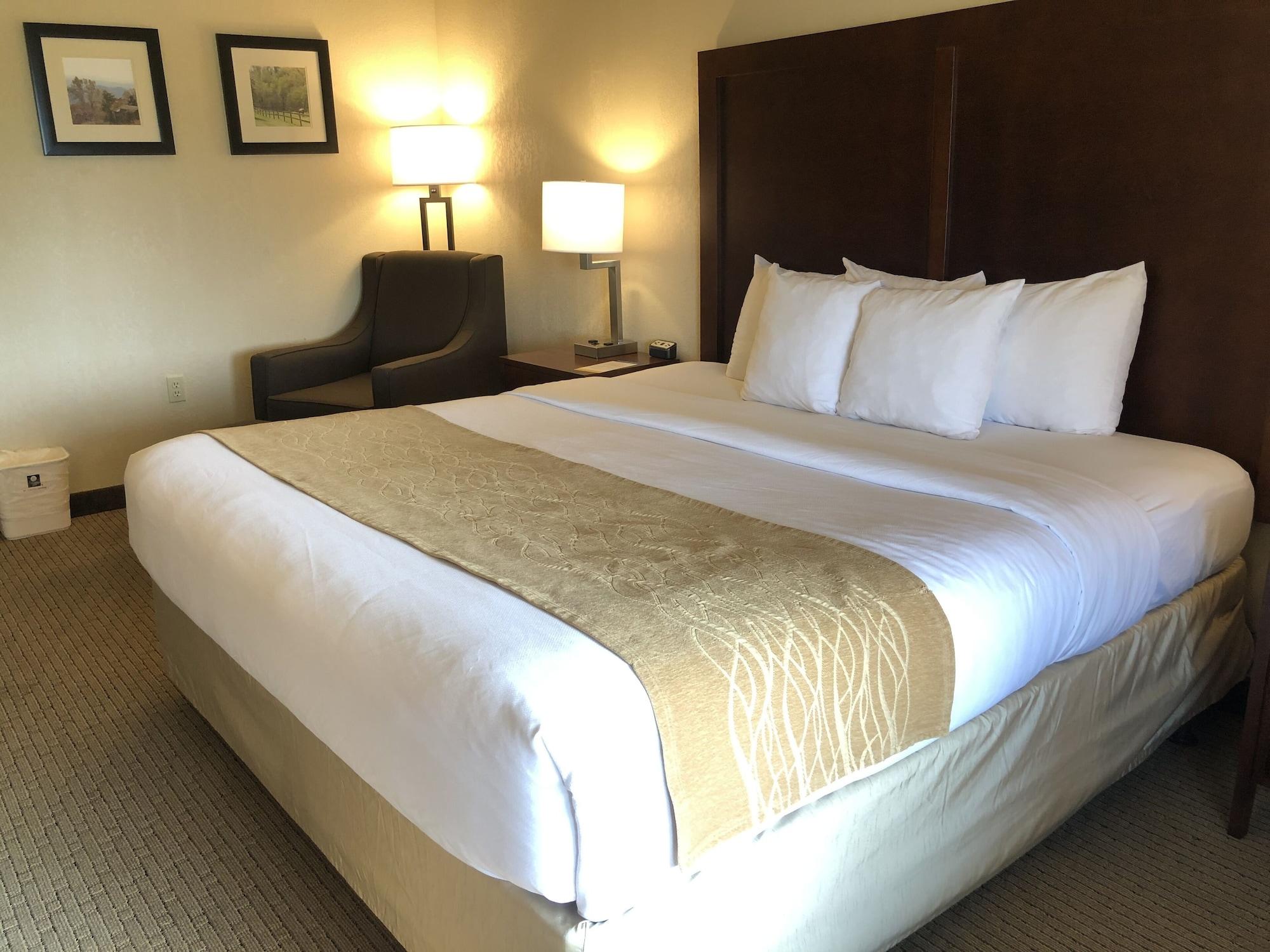 Comfort Inn&Suites Rogersville Extérieur photo