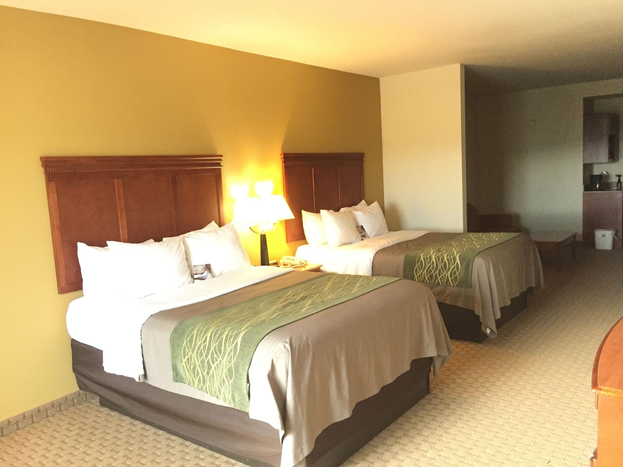 Comfort Inn&Suites Rogersville Extérieur photo