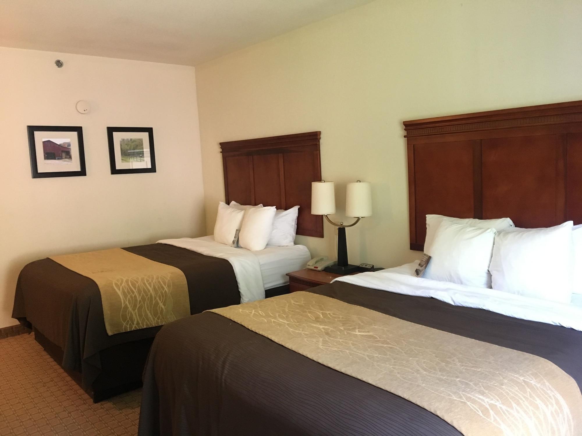 Comfort Inn&Suites Rogersville Extérieur photo