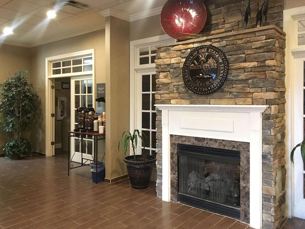 Comfort Inn&Suites Rogersville Extérieur photo