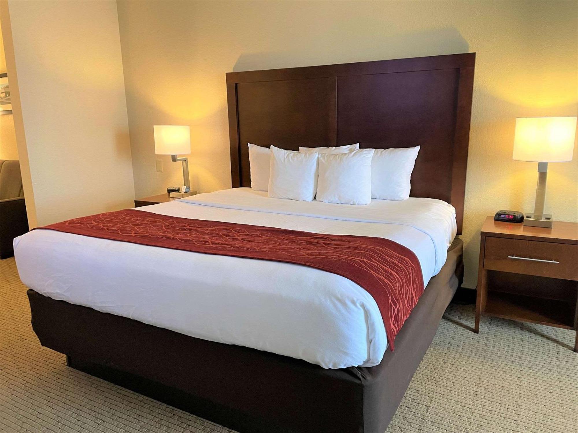 Comfort Inn&Suites Rogersville Extérieur photo