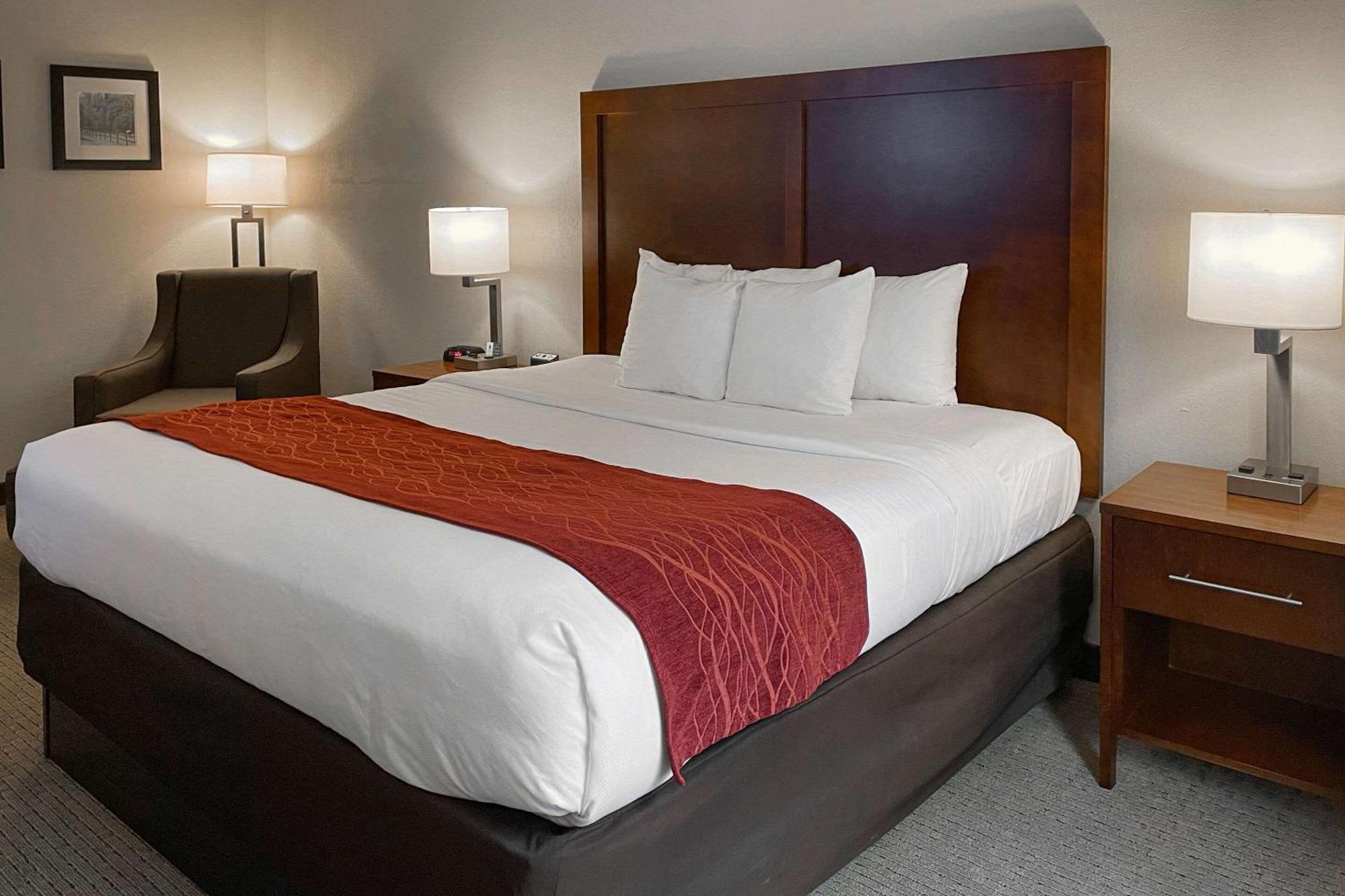 Comfort Inn&Suites Rogersville Extérieur photo