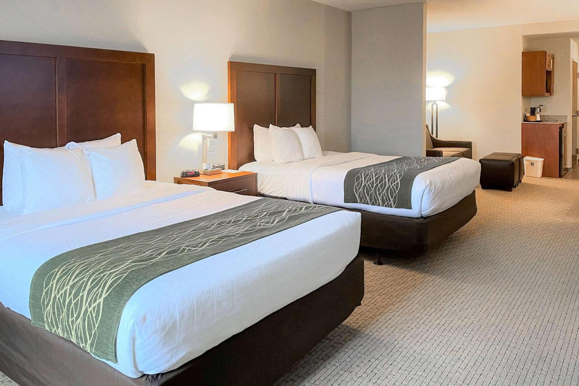 Comfort Inn&Suites Rogersville Extérieur photo